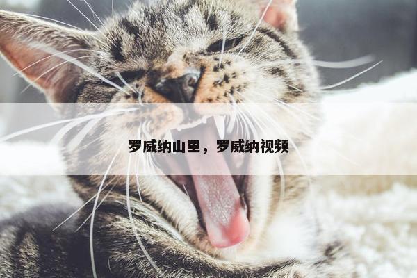 罗威纳山里，罗威纳视频