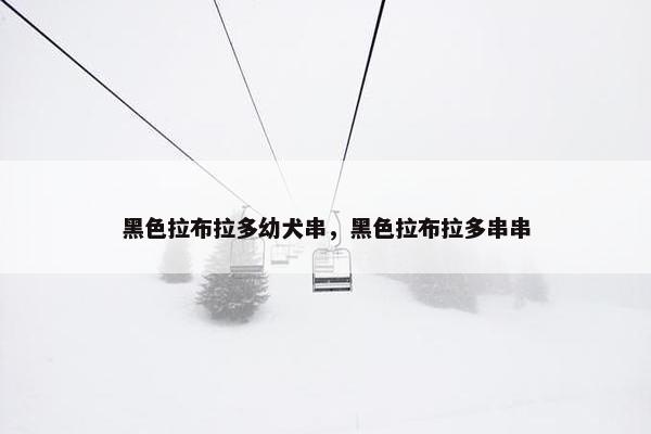 黑色拉布拉多幼犬串，黑色拉布拉多串串