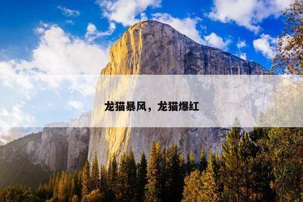 龙猫暴风，龙猫爆红