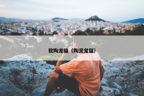 软陶龙猫（陶泥龙猫）