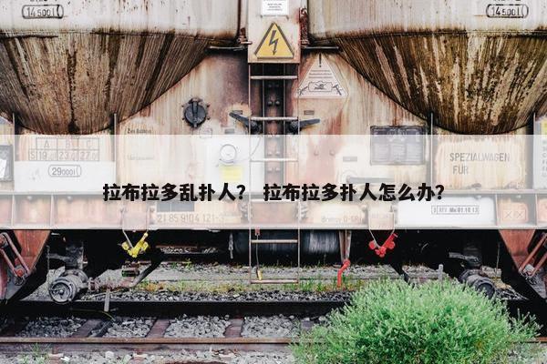 拉布拉多乱扑人？ 拉布拉多扑人怎么办？
