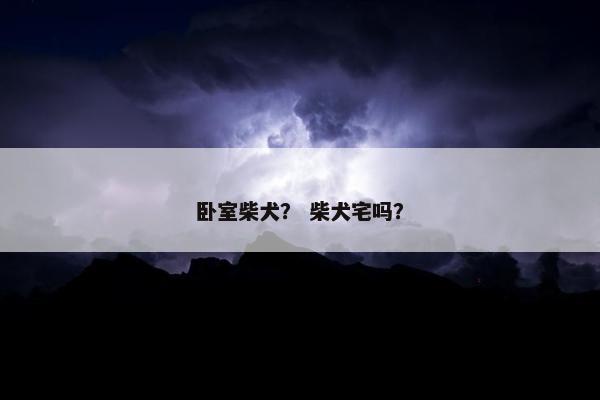卧室柴犬？ 柴犬宅吗？