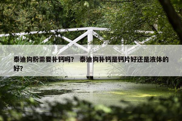 泰迪狗粉需要补钙吗？ 泰迪狗补钙是钙片好还是液体的好？