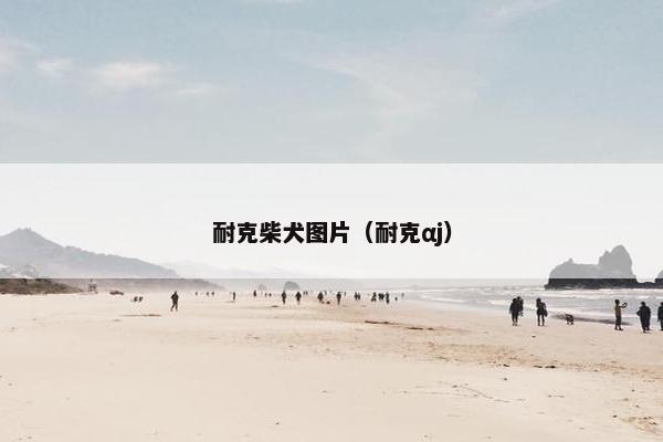 耐克柴犬图片（耐克αj）