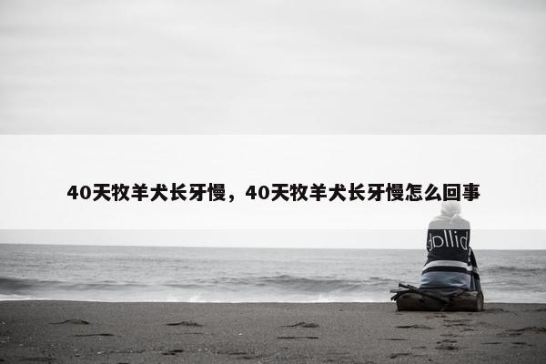 40天牧羊犬长牙慢，40天牧羊犬长牙慢怎么回事