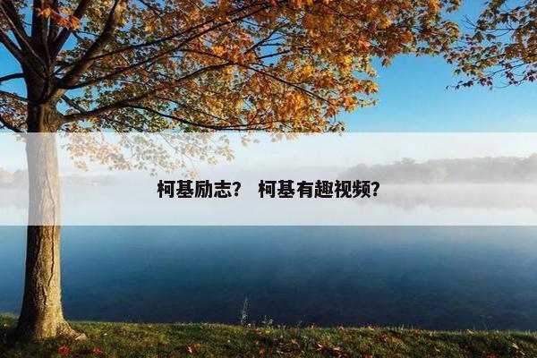柯基励志？ 柯基有趣视频？