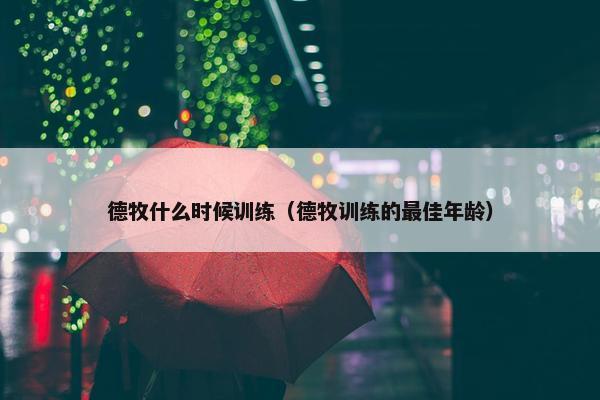 德牧什么时候训练（德牧训练的最佳年龄）