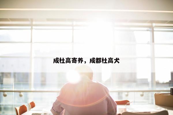 成杜高寄养，成都杜高犬