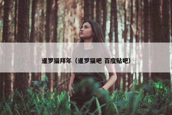 暹罗猫拜年（暹罗猫吧 百度贴吧）