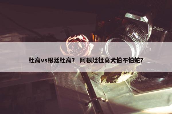 杜高vs根廷杜高？ 阿根廷杜高犬怕不怕蛇？