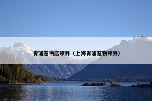 青浦宠物店领养（上海青浦宠物领养）
