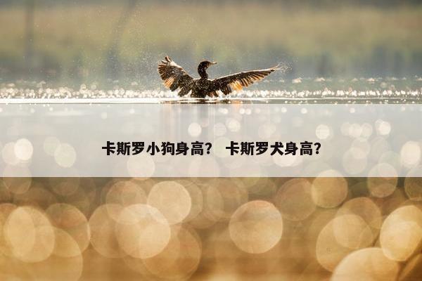 卡斯罗小狗身高？ 卡斯罗犬身高？