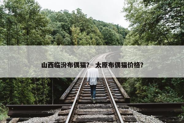 山西临汾布偶猫？ 太原布偶猫价格？