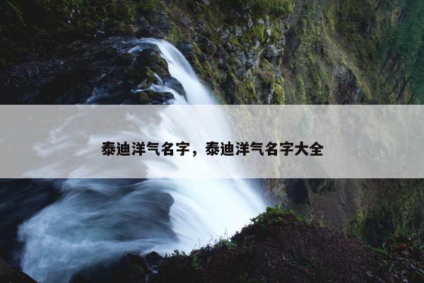 泰迪洋气名字，泰迪洋气名字大全