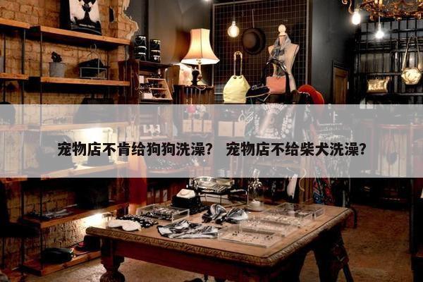 宠物店不肯给狗狗洗澡？ 宠物店不给柴犬洗澡？