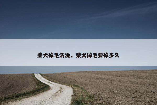 柴犬掉毛洗澡，柴犬掉毛要掉多久