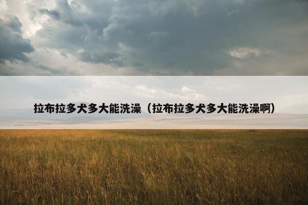 拉布拉多犬多大能洗澡（拉布拉多犬多大能洗澡啊）
