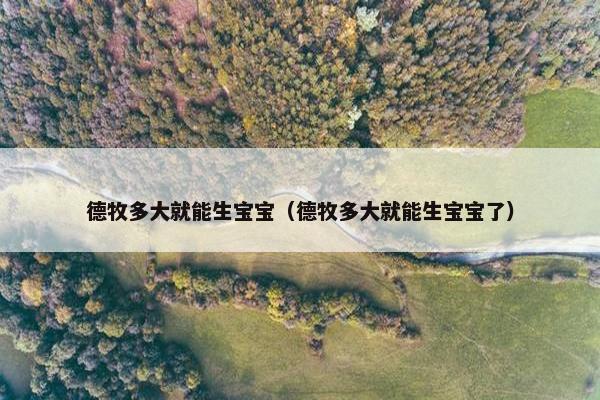 德牧多大就能生宝宝（德牧多大就能生宝宝了）