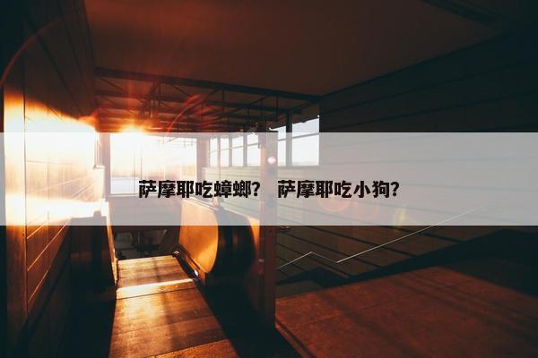 萨摩耶吃蟑螂？ 萨摩耶吃小狗？