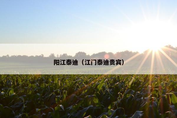 阳江泰迪（江门泰迪贵宾）