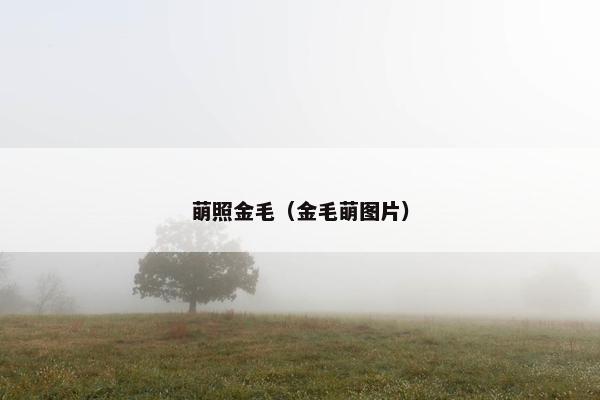 萌照金毛（金毛萌图片）