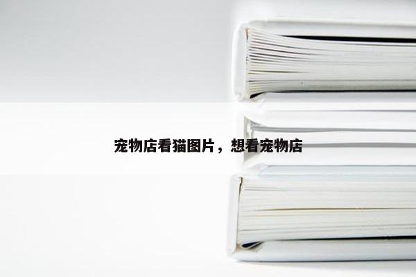 宠物店看猫图片，想看宠物店