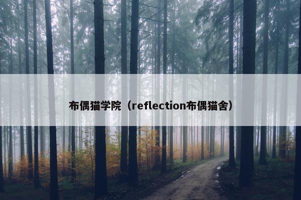 布偶猫学院（reflection布偶猫舍）