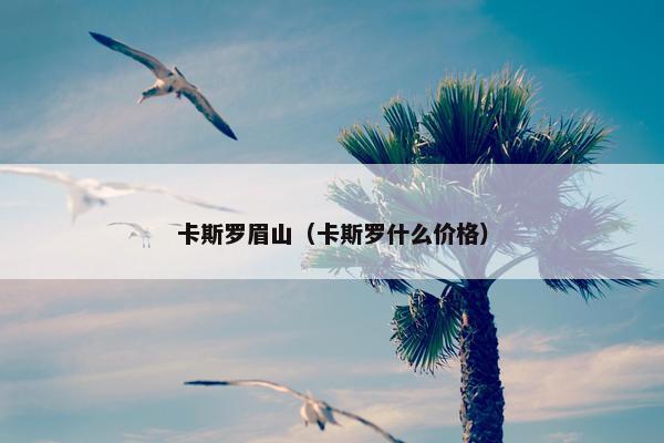 卡斯罗眉山（卡斯罗什么价格）