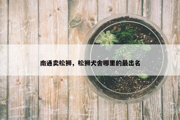 南通卖松狮，松狮犬舍哪里的最出名