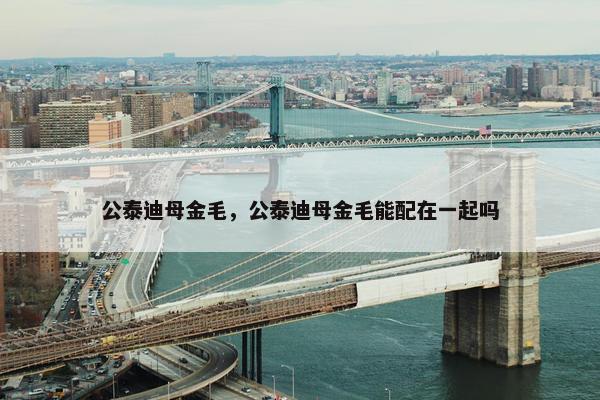 公泰迪母金毛，公泰迪母金毛能配在一起吗