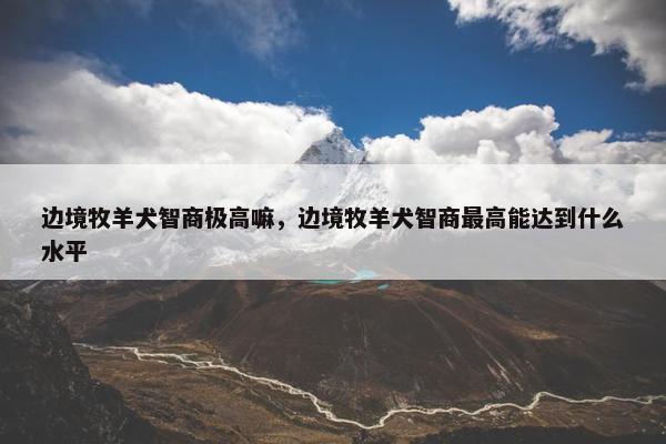 边境牧羊犬智商极高嘛，边境牧羊犬智商最高能达到什么水平