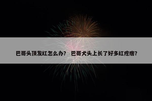 巴哥头顶发红怎么办？ 巴哥犬头上长了好多红疙瘩？