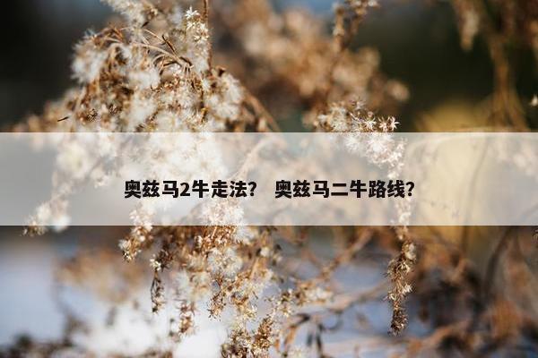 奥兹马2牛走法？ 奥兹马二牛路线？