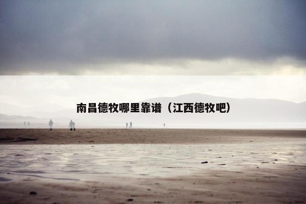 南昌德牧哪里靠谱（江西德牧吧）