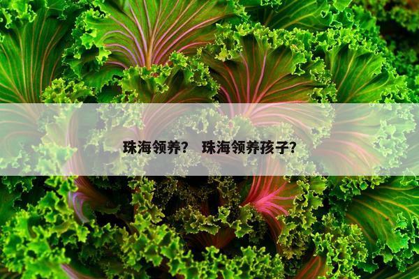 珠海领养？ 珠海领养孩子？