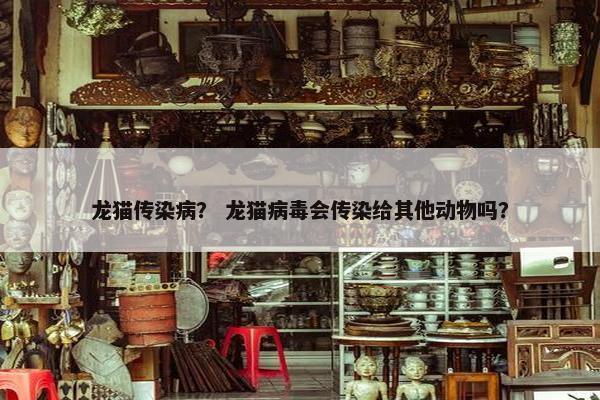龙猫传染病？ 龙猫病毒会传染给其他动物吗？