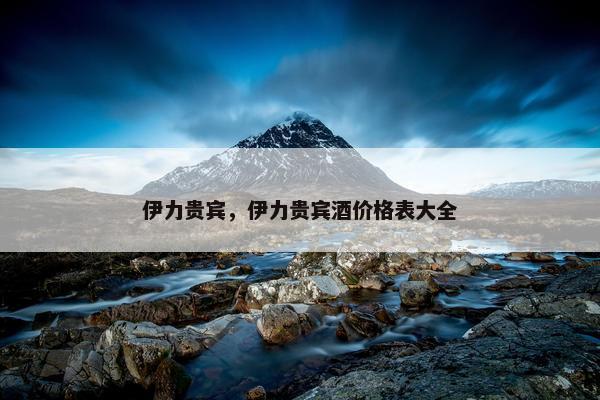 伊力贵宾，伊力贵宾酒价格表大全