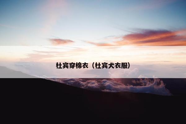 杜宾穿棉衣（杜宾犬衣服）