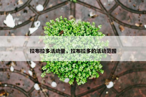 拉布拉多活动量，拉布拉多的活动范围
