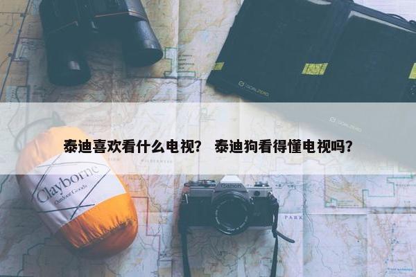 泰迪喜欢看什么电视？ 泰迪狗看得懂电视吗？