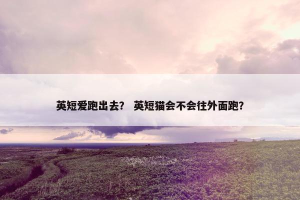 英短爱跑出去？ 英短猫会不会往外面跑？