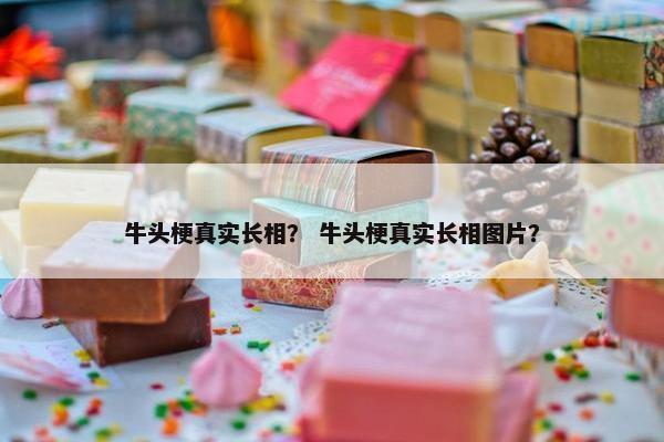 牛头梗真实长相？ 牛头梗真实长相图片？