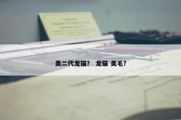 美二代龙猫？ 龙猫 美毛？