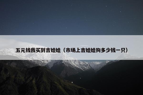 五元钱我买到吉娃娃（市场上吉娃娃狗多少钱一只）