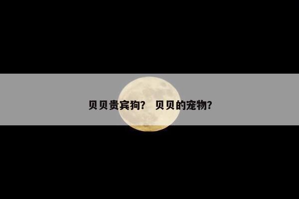 贝贝贵宾狗？ 贝贝的宠物？