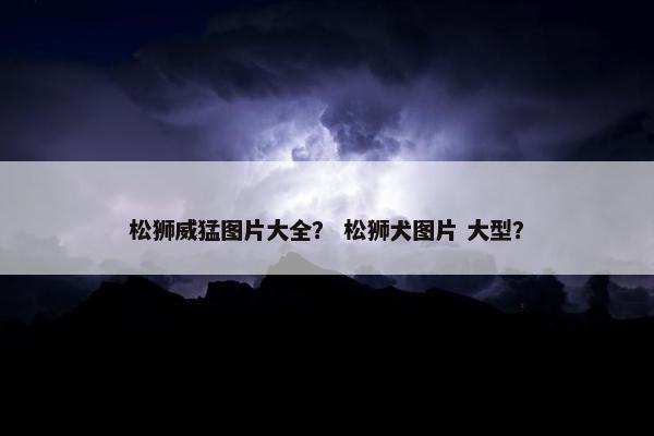 松狮威猛图片大全？ 松狮犬图片 大型？
