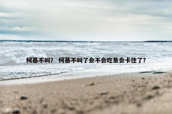 柯基不叫？ 柯基不叫了会不会吃鱼会卡住了？