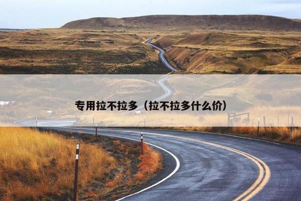专用拉不拉多（拉不拉多什么价）