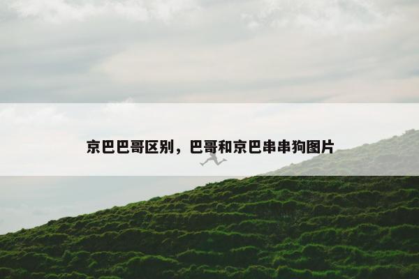京巴巴哥区别，巴哥和京巴串串狗图片