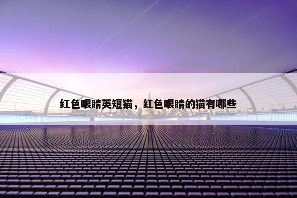 红色眼睛英短猫，红色眼睛的猫有哪些